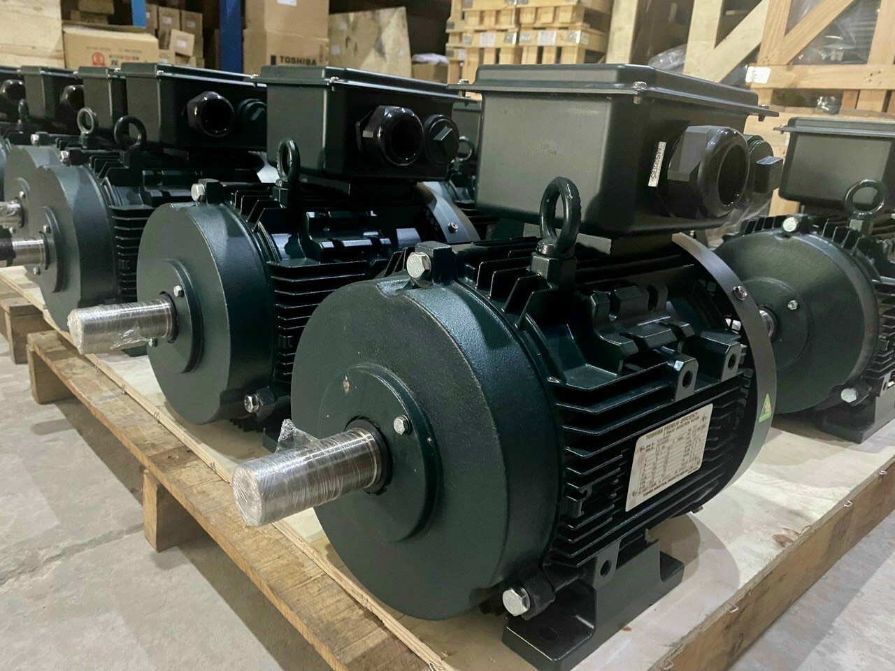 ĐỘNG CƠ ĐIỆN, MÔ TƠ ĐIỆN