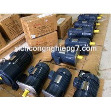 MÔ TƠ GIÃM TỐC CHÂN ĐẾ